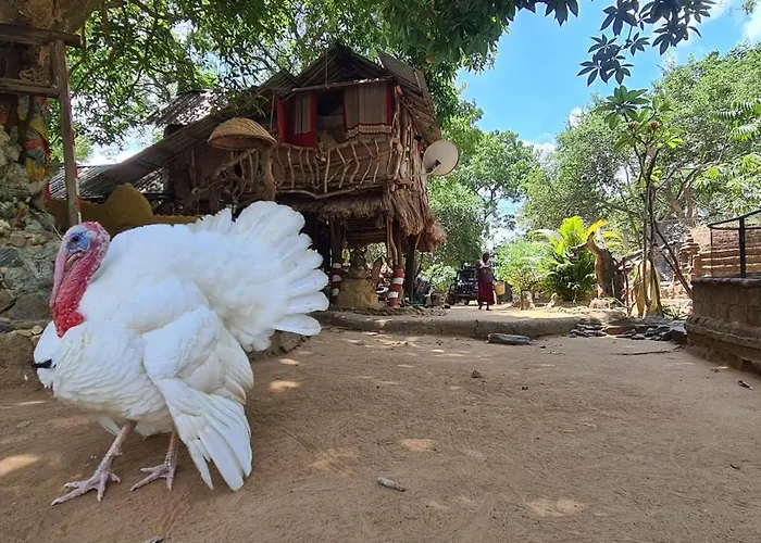 Humbhaha Jungle Yala Nature Eco Resort