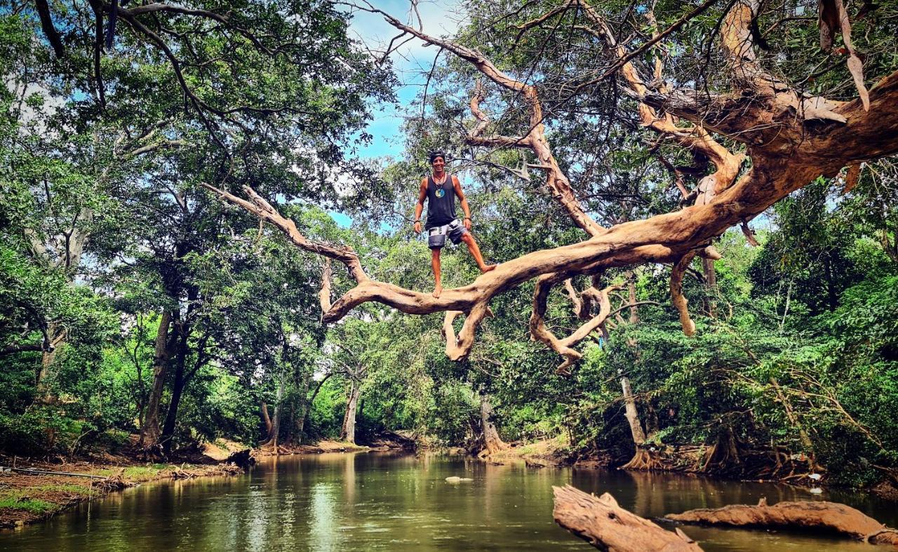 Humbhaha Jungle Yala Nature Eco Maison d'hôtes