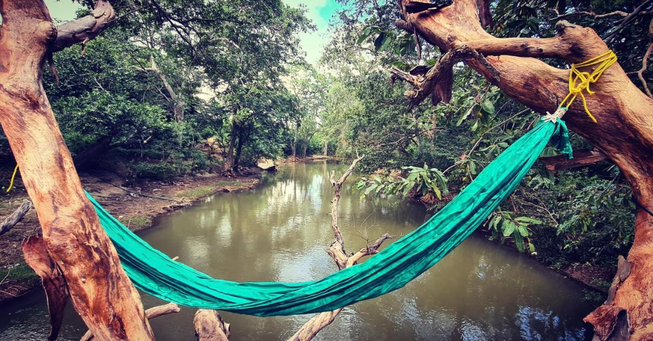 Humbhaha Jungle Yala Nature Eco