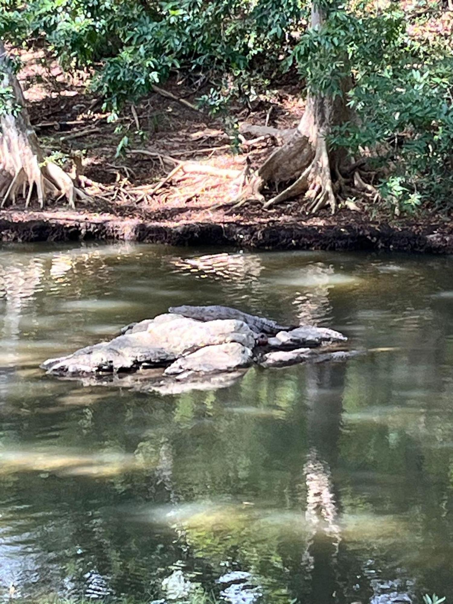 Humbhaha Jungle Yala Nature Eco Kataragama