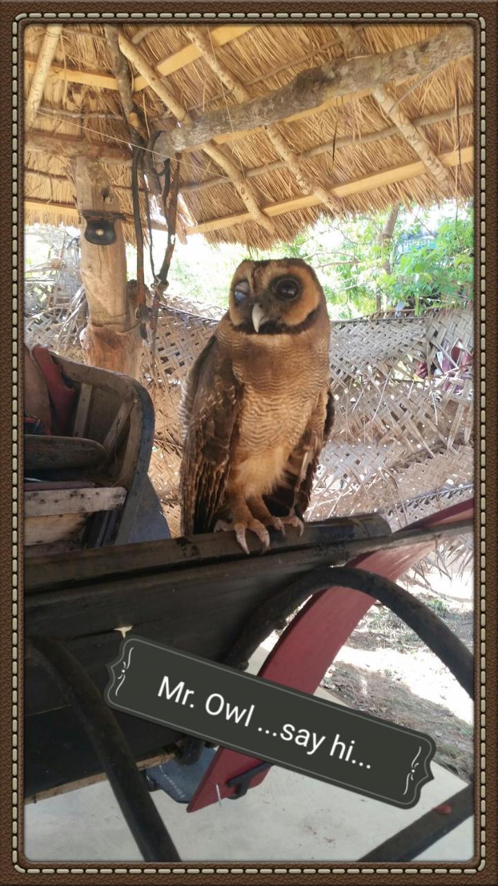 Guest house Humbhaha Jungle Yala Nature Eco Kataragama