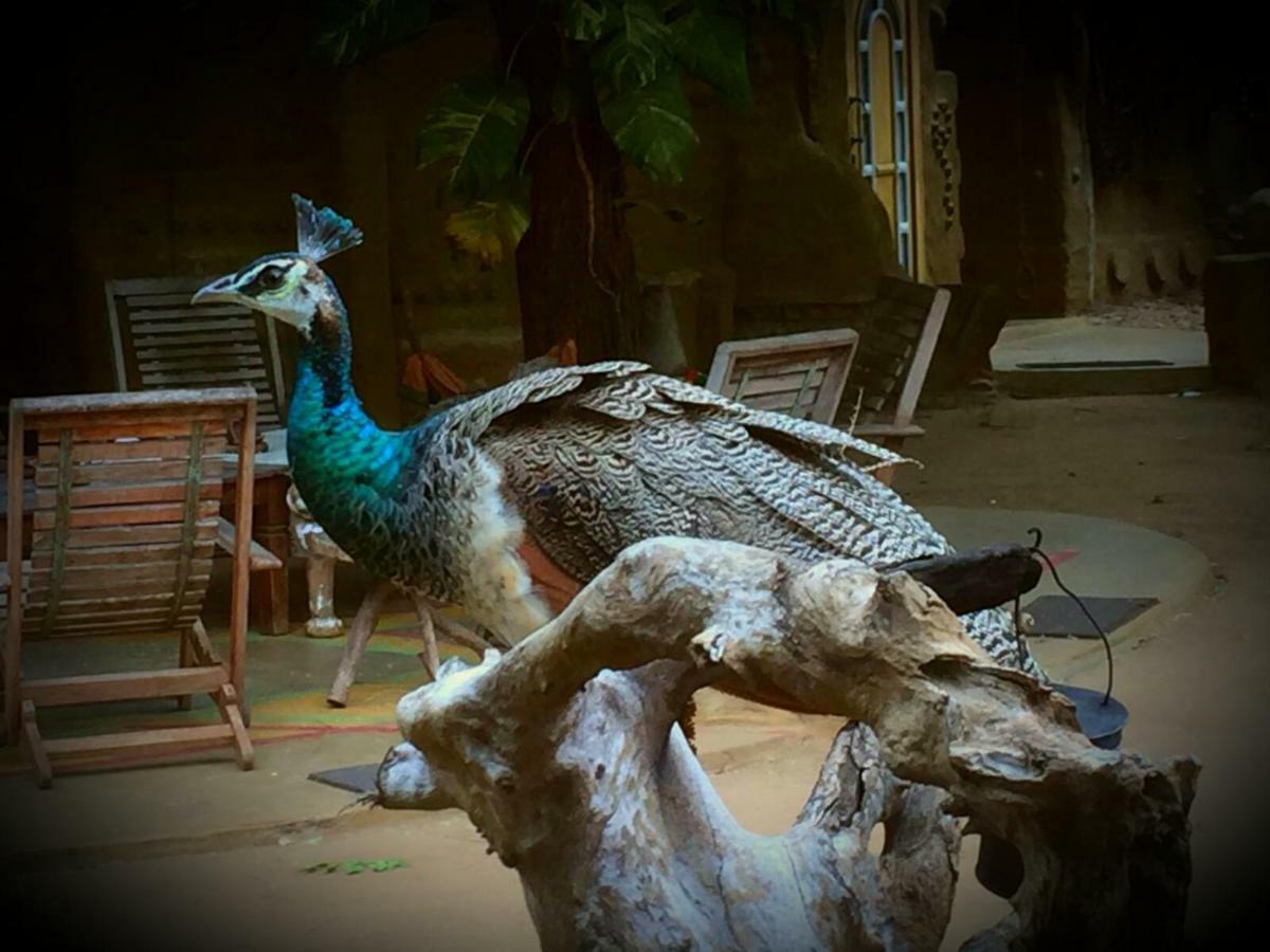 Humbhaha Jungle Yala Nature Eco Kataragama